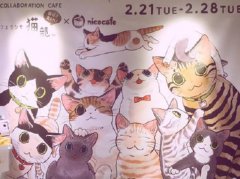猫控の福利！以猫咪为主题的咖啡店猫部nicocafe限时开业啦~